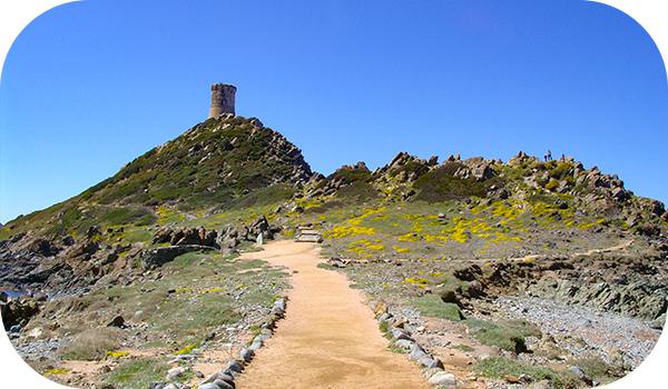 Les Îles Sanguinaires